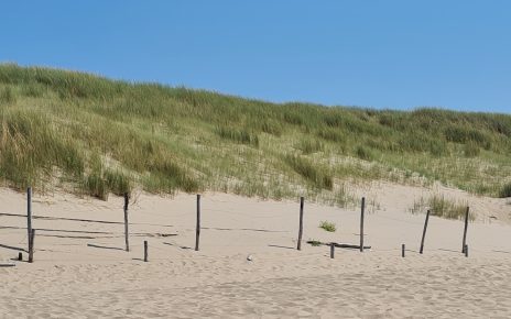 Dünen in Holland